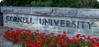 La Universidad de Cornell en Nueva York, está empezando a ser conocido como la "Universidad de la Muerte", ¿por qué?