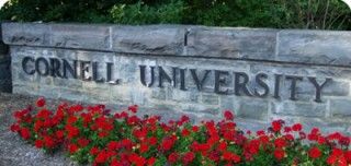 La Universidad de Cornell en Nueva York, está empezando a ser conocido como la "Universidad de la Muerte", ¿por qué?