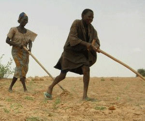 Cinco millones sufren hambre por sequía en Africa