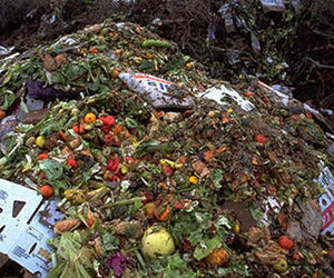 La cantidad de alimento arrojado a la basura per cápita en Europa y Norteamérica alcanza anualmente los 95 y 115 kilogramos