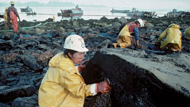 La limpieza costó más o menos 2,1 billones de dólares y, algunas áreas a lo largo de la costa más cercana al derrame, todavía hoy en día están contaminadas con petróleo debajo de la superficie. 