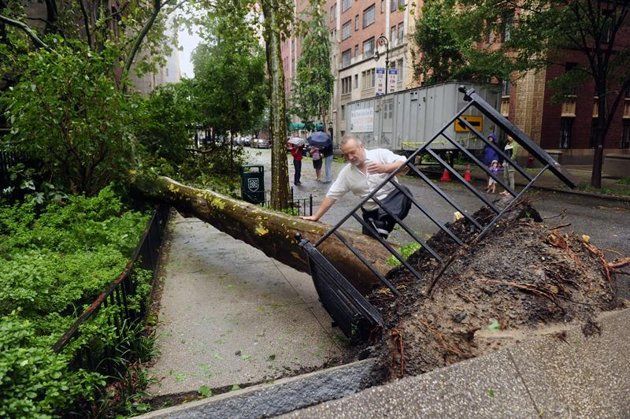 Un ciudadano se acerca a un árbol caído en la calle 43 este en Nueva York, Estados Unidos, hoy, domingo 28 de agosto de 2011, tras la llegada del huracán "Irene". Este huracán cumplió hoy las primeras 24 horas de su recorrido por la costa este de Estados Unidos, con un rastro de inundaciones, cortes de electricidad, tornados y una decena de muertos, mientras se desplaza ahora a Nueva York y Nueva Inglaterra. EFE/John G. Mabanglo 