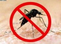Cuba lucha contra el dengue
