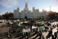 Protesta de profesores y alumnos en España. Foto: REUTERS/Susana Vera