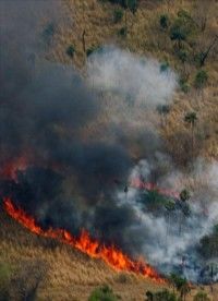 En el sitio de difícil acceso, caracterizado por sus terrenos áridos y altas temperaturas típicas de la época seca, trabajan al menos 60 bomberos forestales de distintas instituciones públicas. EFE/Archivo