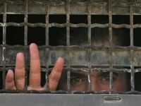 Palestino preso
