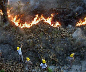 Incendio en bosque de México ha consumido mil 462 hectáreas