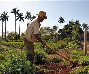 17 de Mayo, Día del Campesino Cubano