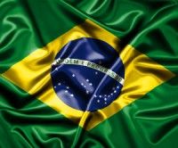 Suman 210 los muertos por gripe A (H1N1) en Brasil