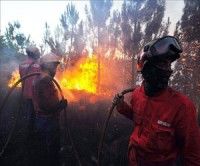 Casi 8 mil bomberos luchan por extinguir el fuego en Portugal