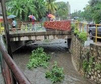 Jamaica Tropical Weather