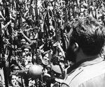 Proclama Fidel carácter socialista de la RevoluciónProclama Fidel carácter socialista de la Revolución
