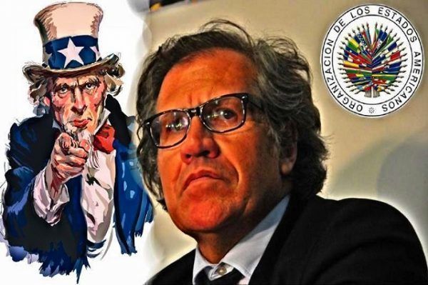 OEA, Estados Unidos y la subversión en Venezuela
