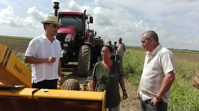 Embajador de Vietnam en Cuba, Nguyen Trong Than recorre sembrado de arroz